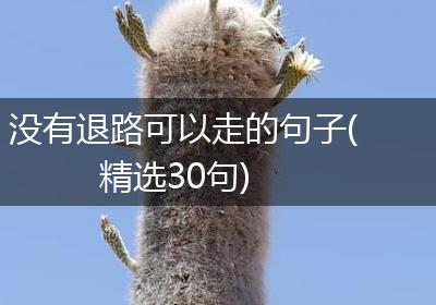 没有退路可以走的句子(精选30句)