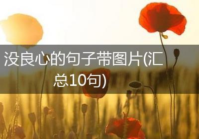 没良心的句子带图片(汇总10句)