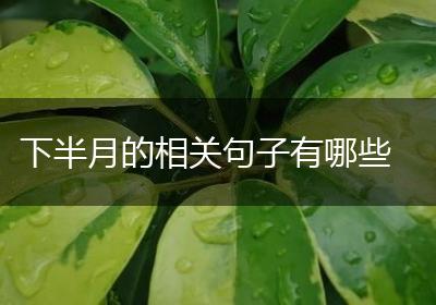 下半月的相关句子有哪些