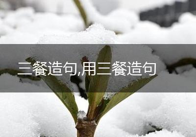 三餐造句,用三餐造句