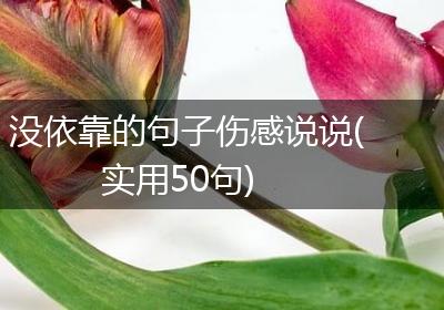 没依靠的句子伤感说说(实用50句)