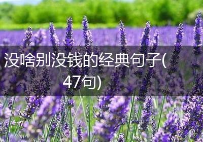 没啥别没钱的经典句子(47句)