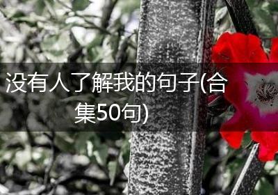 没有人了解我的句子(合集50句)