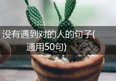 没有遇到对的人的句子(通用50句)