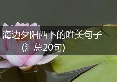 海边夕阳西下的唯美句子(汇总20句)