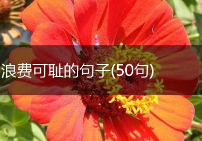 浪费可耻的句子(50句)