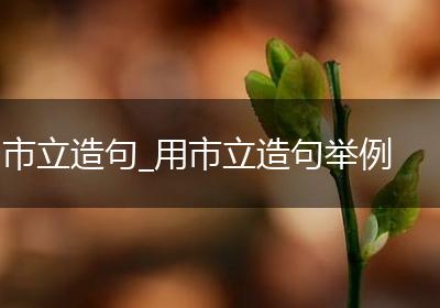 市立造句_用市立造句举例