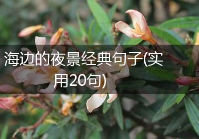 海边的夜景经典句子(实用20句)