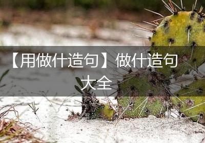 【用做什造句】做什造句大全
