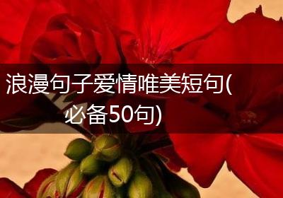 浪漫句子爱情唯美短句(必备50句)