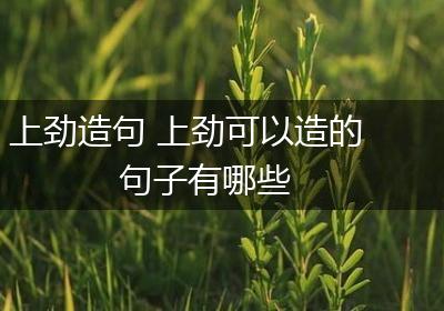 上劲造句 上劲可以造的句子有哪些