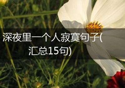 深夜里一个人寂寞句子(汇总15句)