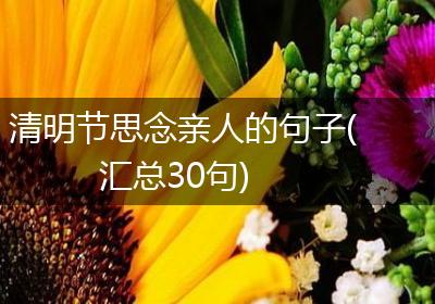 清明节思念亲人的句子(汇总30句)