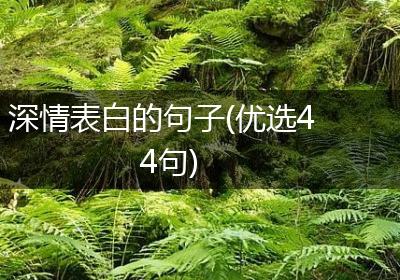 深情表白的句子(优选44句)