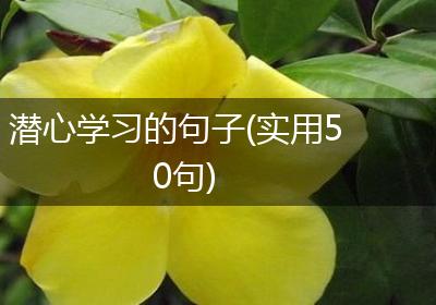 潜心学习的句子(实用50句)
