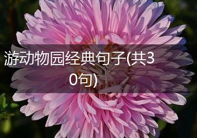 游动物园经典句子(共30句)
