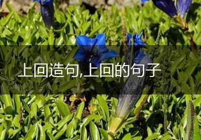 上回造句,上回的句子
