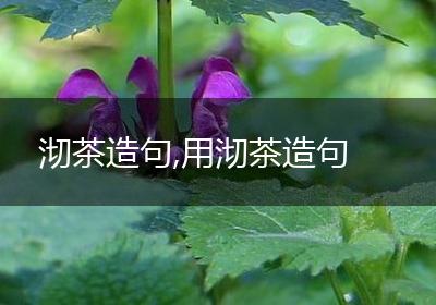 沏茶造句,用沏茶造句