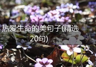 热爱生命的美句子(精选20句)