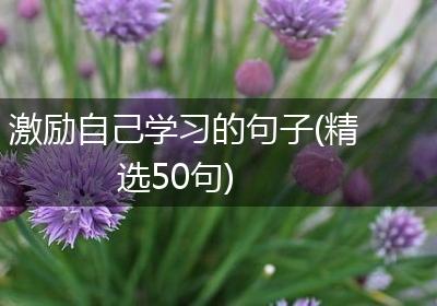 激励自己学习的句子(精选50句)