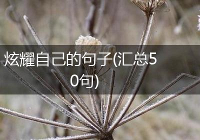 炫耀自己的句子(汇总50句)