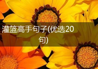 灌篮高手句子(优选20句)