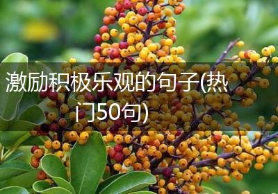 激励积极乐观的句子(热门50句)