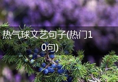 热气球文艺句子(热门10句)