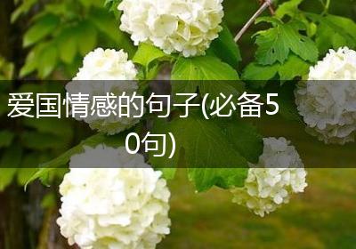 爱国情感的句子(必备50句)