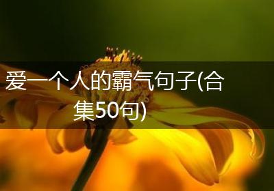 爱一个人的霸气句子(合集50句)