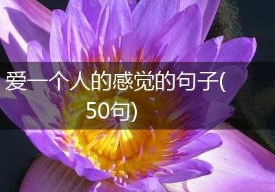 爱一个人的感觉的句子(50句)