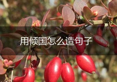 用倾国怎么造句子