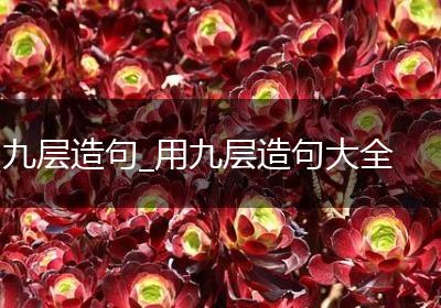 九层造句_用九层造句大全