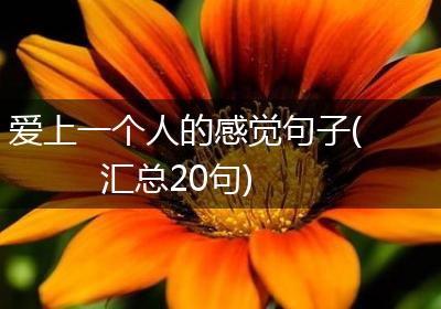爱上一个人的感觉句子(汇总20句)