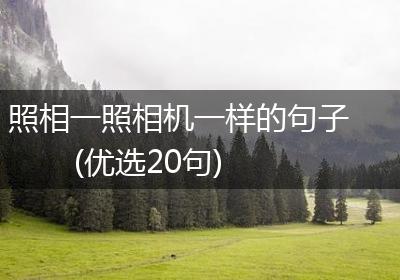 照相一照相机一样的句子(优选20句)