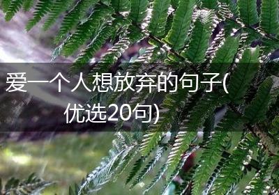 爱一个人想放弃的句子(优选20句)