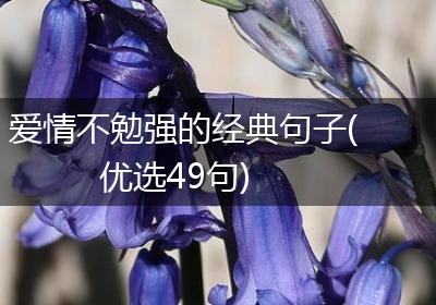 爱情不勉强的经典句子(优选49句)