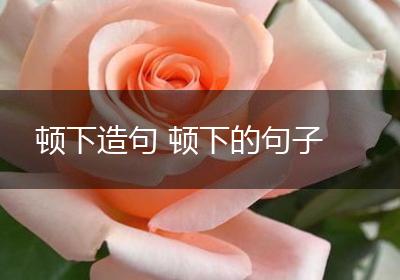 顿下造句 顿下的句子