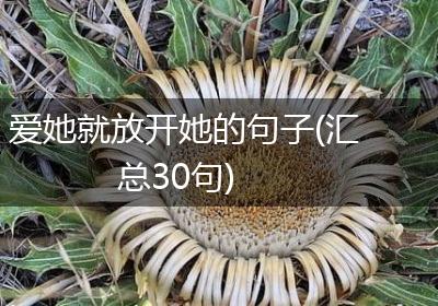 爱她就放开她的句子(汇总30句)