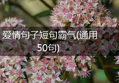 爱情句子短句霸气(通用50句)
