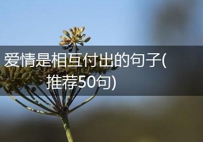 爱情是相互付出的句子(推荐50句)