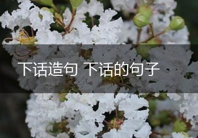 下话造句 下话的句子