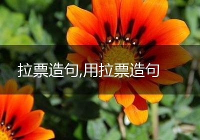 拉票造句,用拉票造句