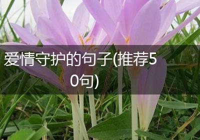 爱情守护的句子(推荐50句)
