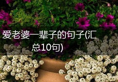 爱老婆一辈子的句子(汇总10句)