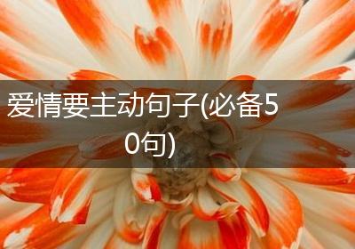 爱情要主动句子(必备50句)