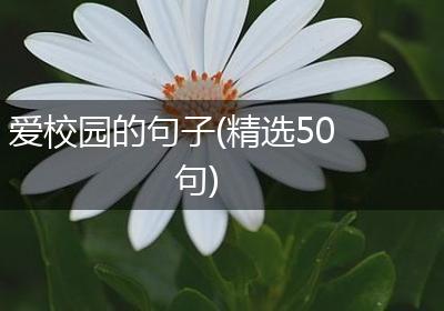 爱校园的句子(精选50句)