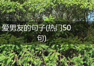 爱男友的句子(热门50句)