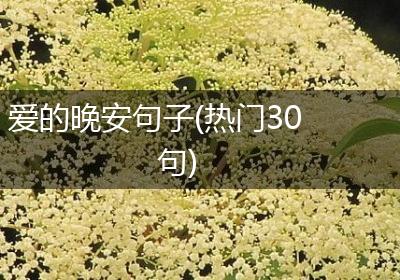 爱的晚安句子(热门30句)