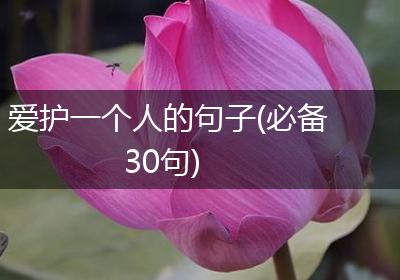 爱护一个人的句子(必备30句)
